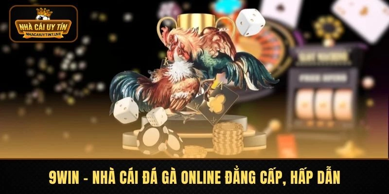 9WIN - Nhà cái đá gà online đẳng cấp, hấp dẫn
